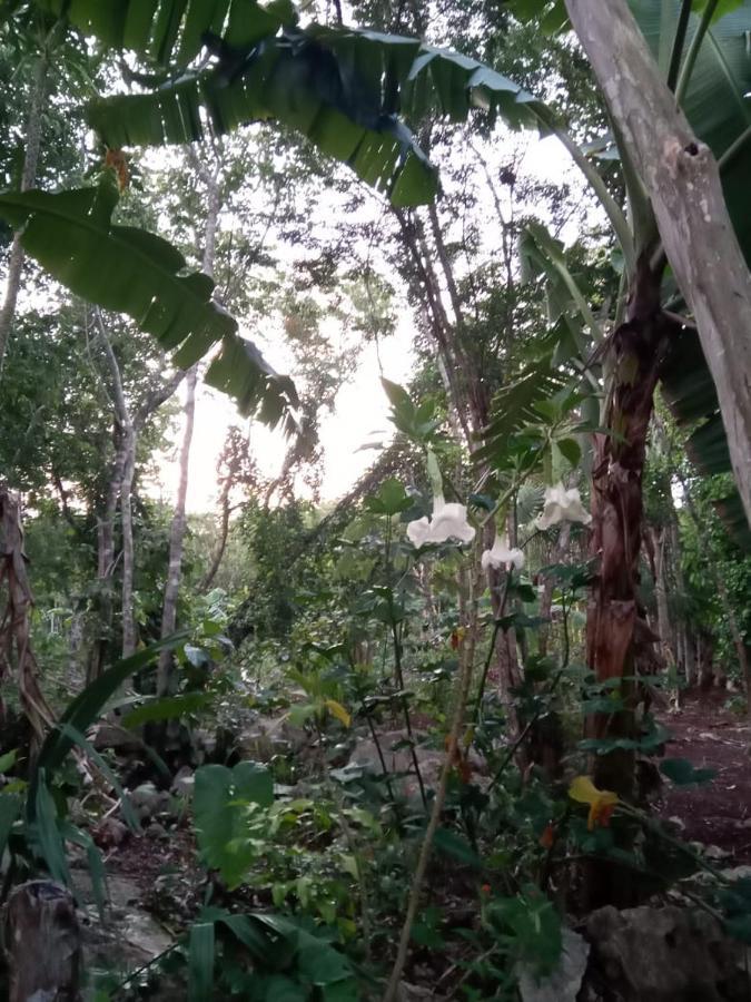 Ecolodge Uh May Francisco Uh May Buitenkant foto